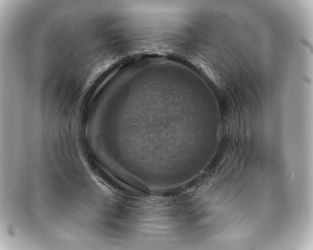 X0000094230736200710261256