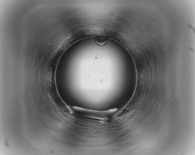 X0000094230739200710261256