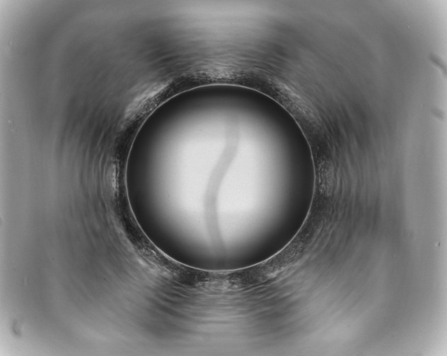 X0000094230740200710261256