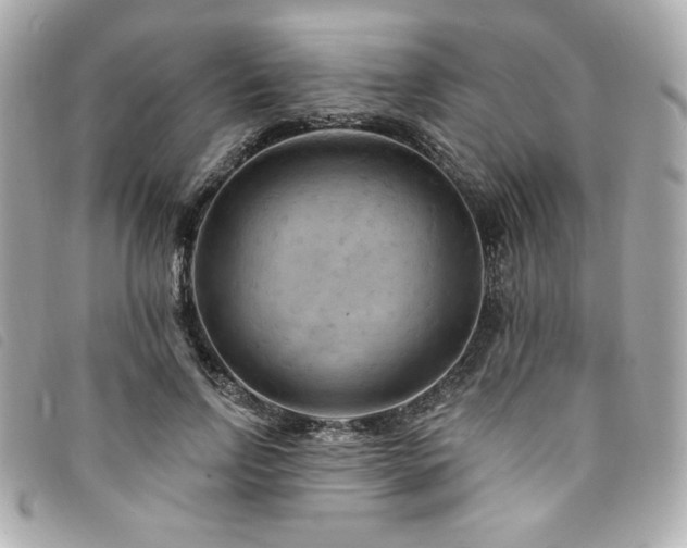 X0000094230742200710261256