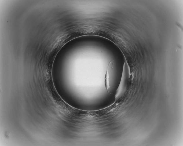 X0000094230743200710261256