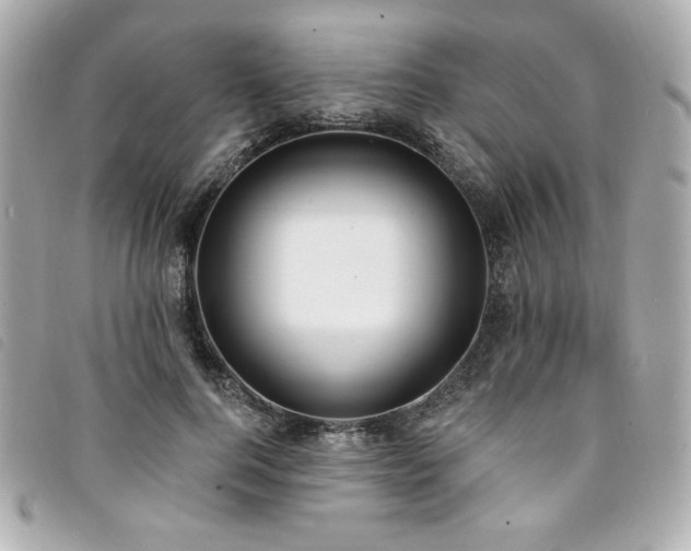 X0000094230744200710261256