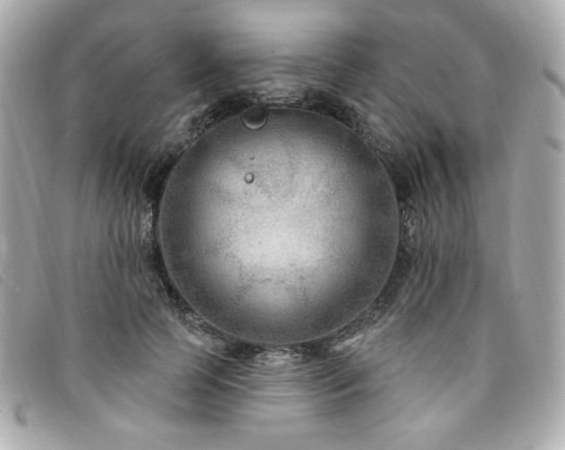 X0000094230745200710261256