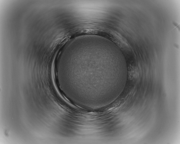 X0000094230748200710261256