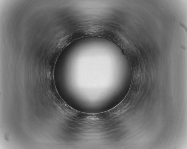 X0000094230749200710261256