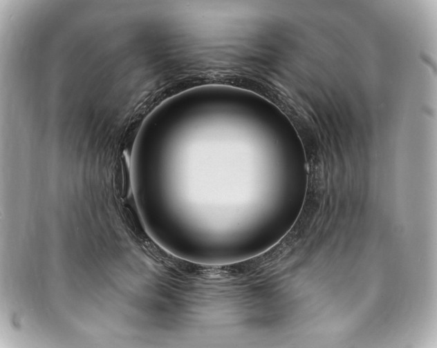 X0000094230750200710261256