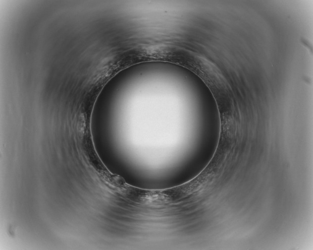 X0000094230752200710261256