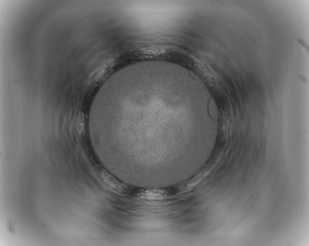 X0000094230758200710261256