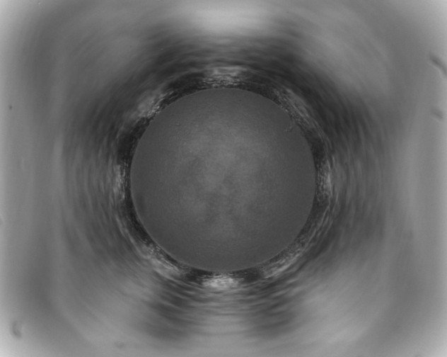 X0000094230759200710261256