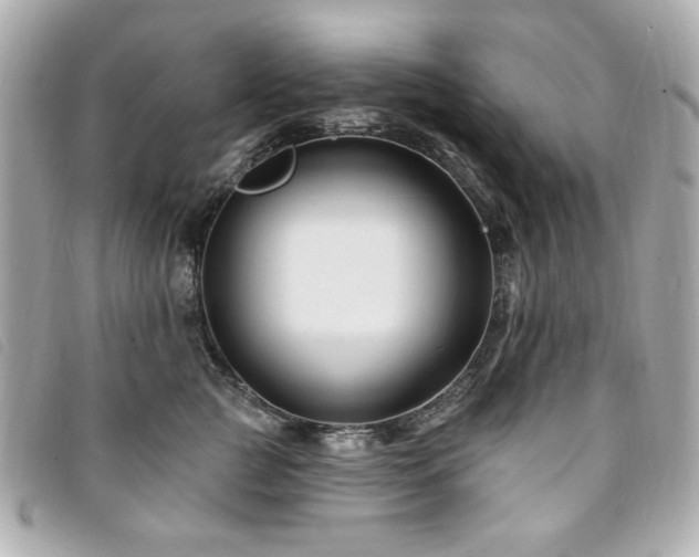 X0000094230761200710261256