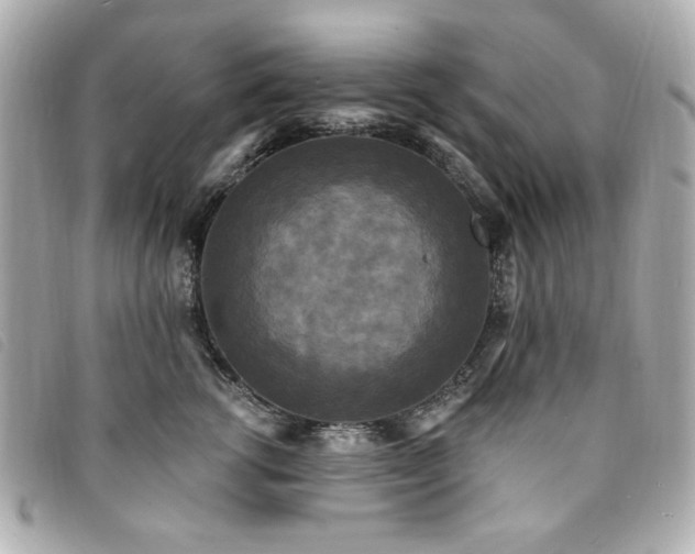 X0000094230762200710261256