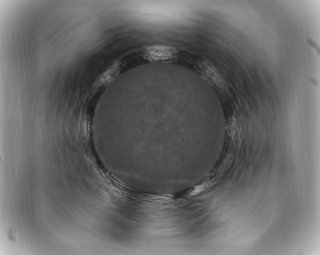 X0000094230763200710261256
