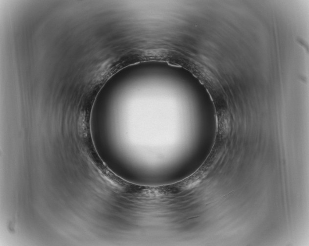 X0000094230764200710261256