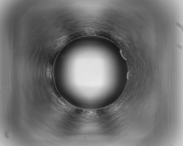 X0000094230768200710261256
