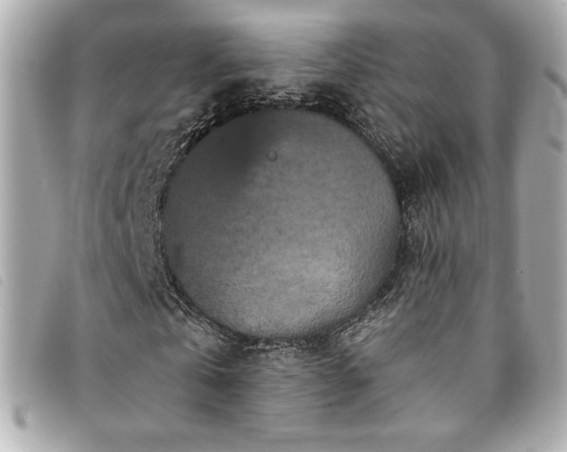 X0000094230769200710261255