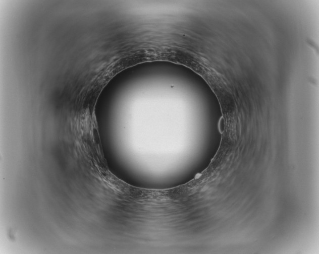 X0000094230770200710261255