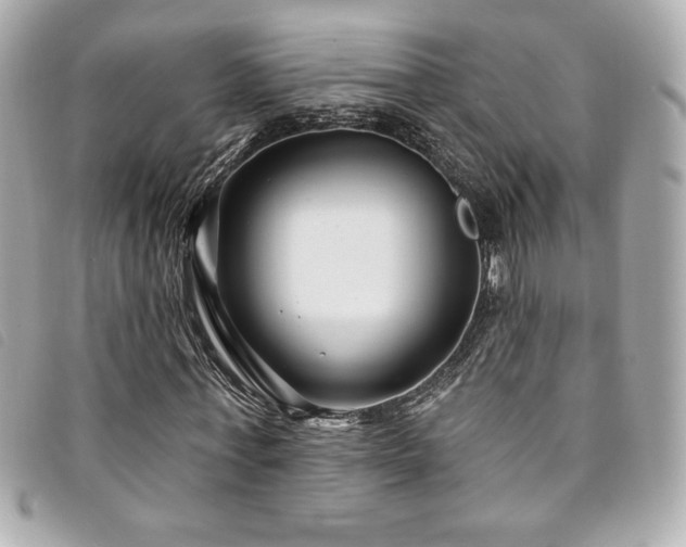 X0000094230771200710261255