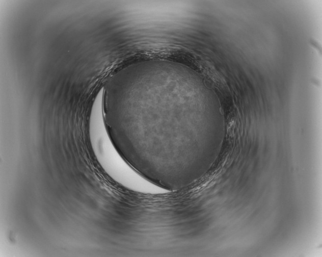 X0000094230772200710261255