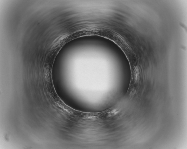X0000094230773200710261255