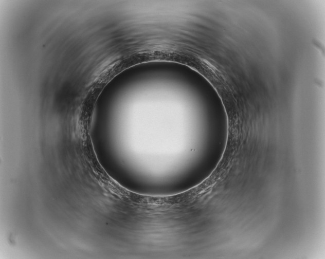 X0000094230774200710261255