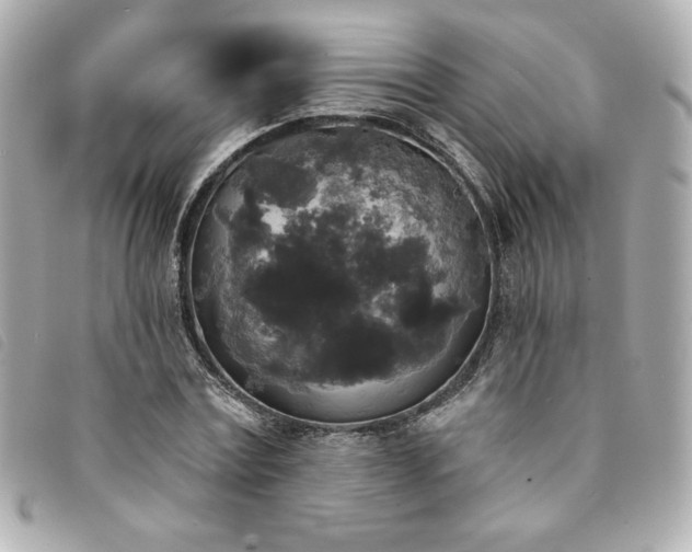 X0000094230779200710261255