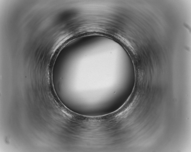 X0000094230782200710261255