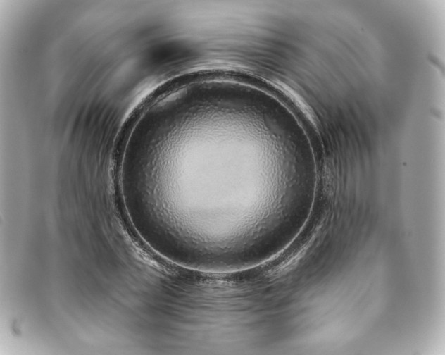 X0000094230783200710261255