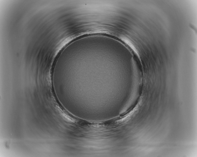 X0000094230789200710261255