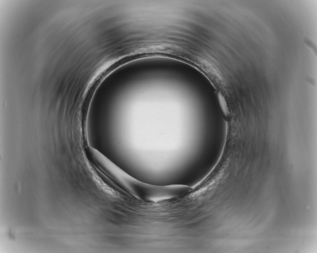 X0000094230792200710261255