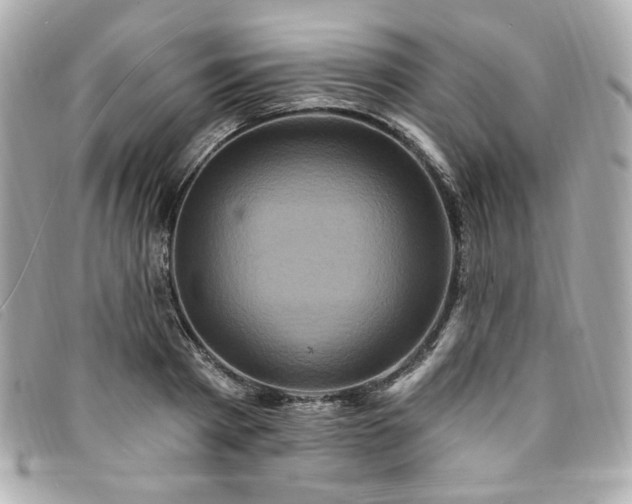 X0000094230793200710261255