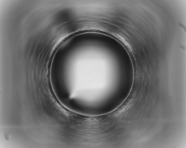 X0000094230799200710261255