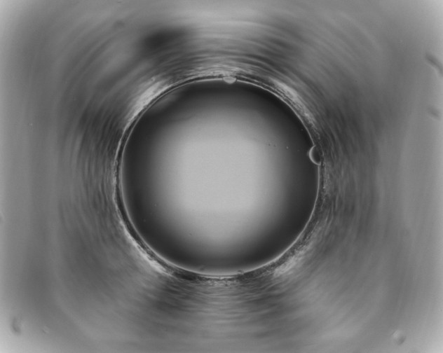 X0000094230802200710261255