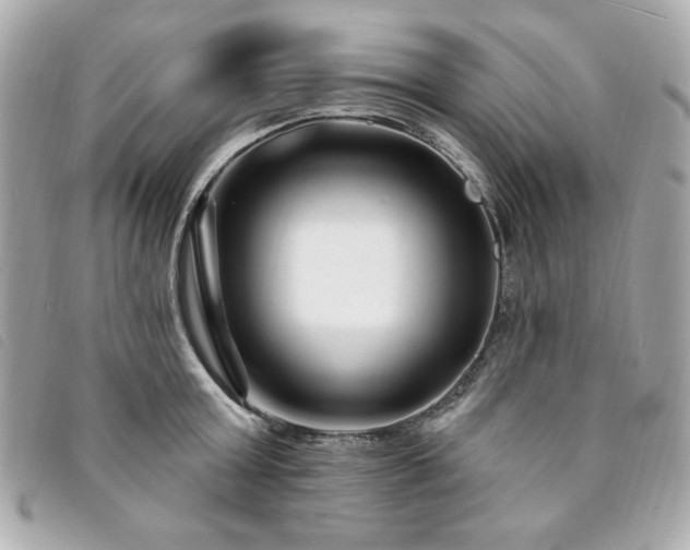 X0000094230803200710261255