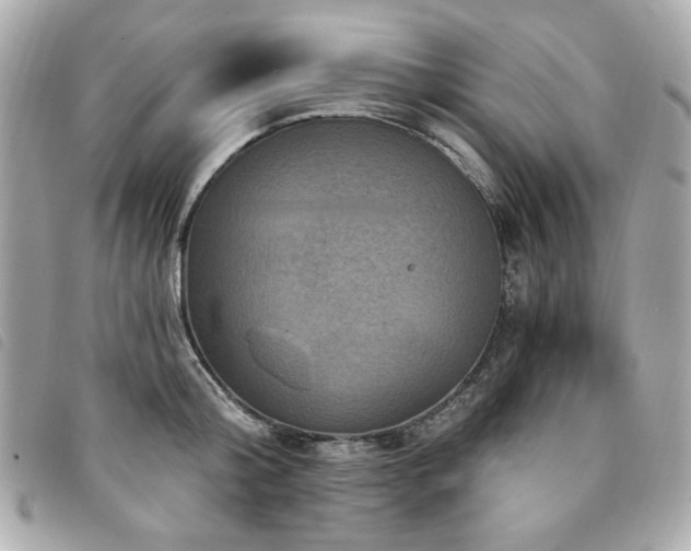 X0000094230804200710261255
