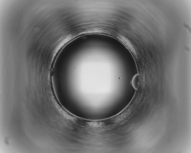 X0000094230805200710261255