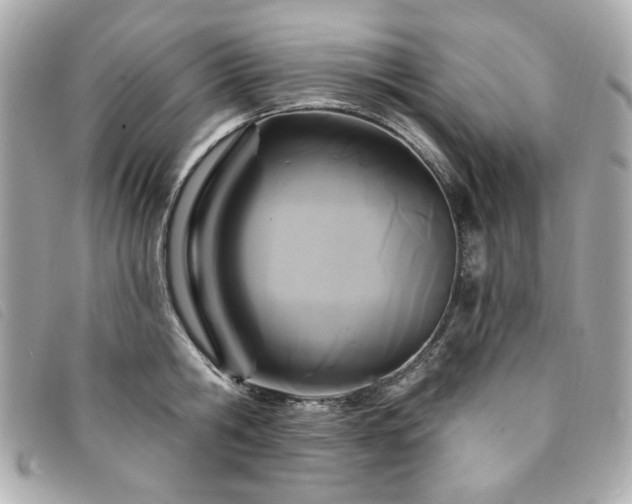 X0000094230806200710261255
