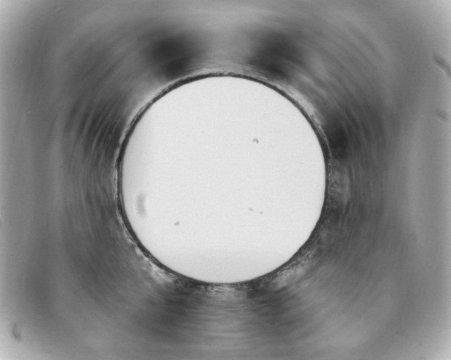 X0000094230807200710261255