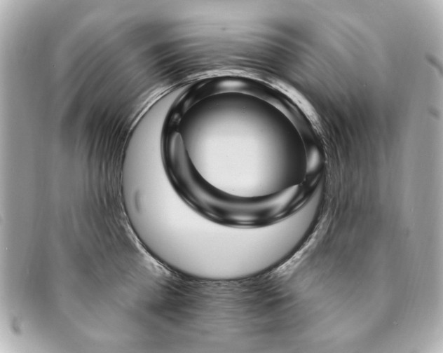 X0000094230809200710261255