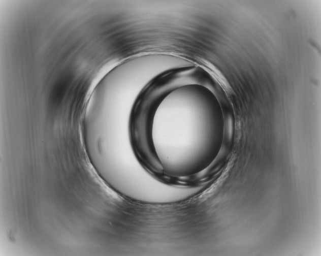 X0000094230812200710261255