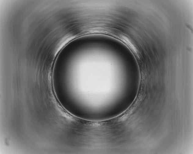 X0000094230814200710261255