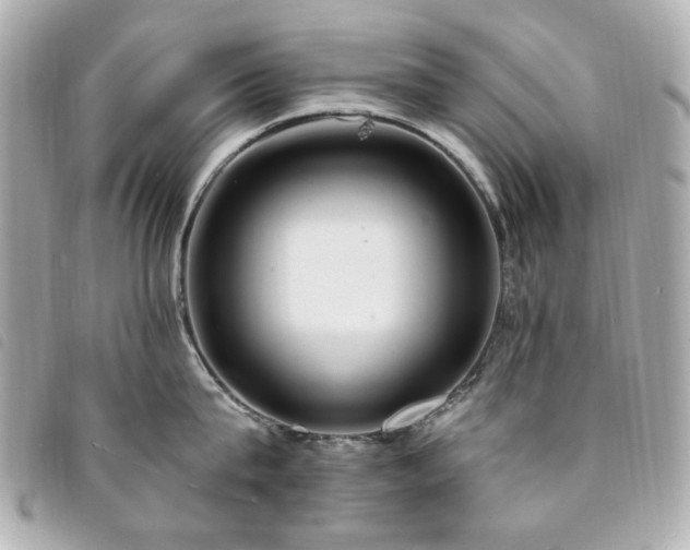 X0000094230815200710261255
