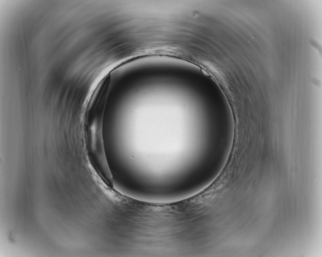 X0000094230816200710261255