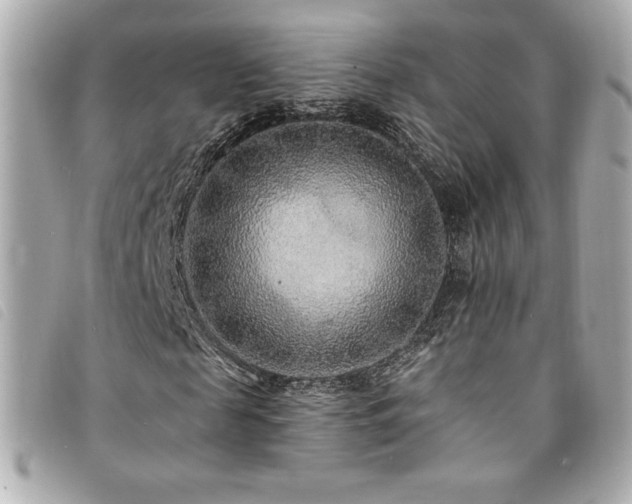 X0000094230817200710261254