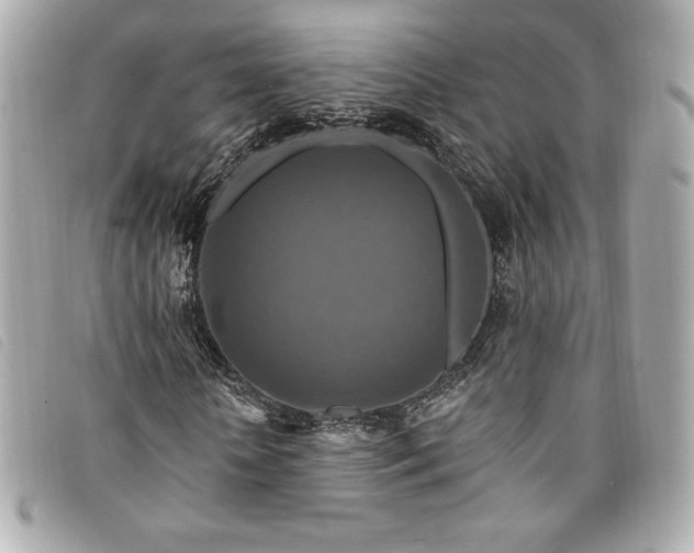X0000094230818200710261254