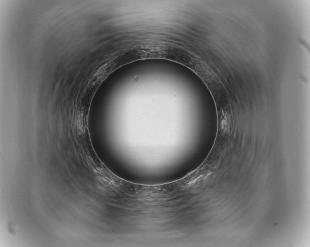 X0000094230819200710261254