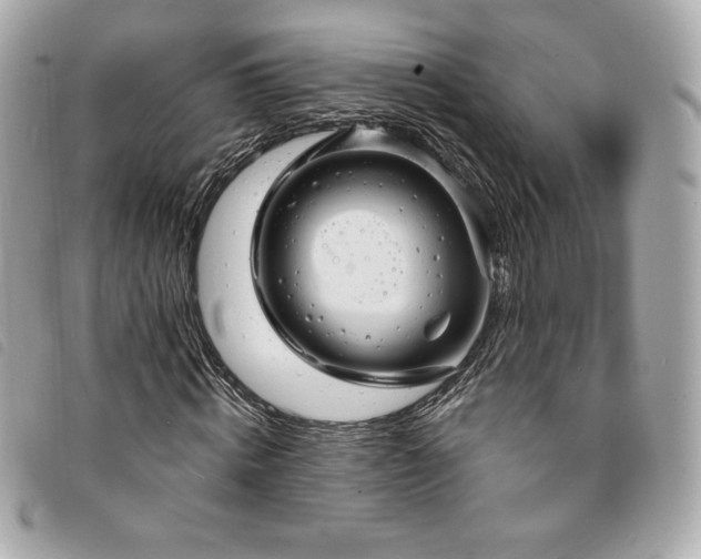 X0000094230820200710261254