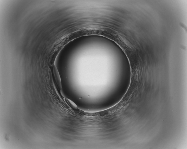 X0000094230821200710261254