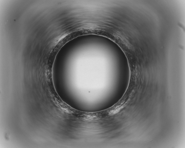 X0000094230822200710261254