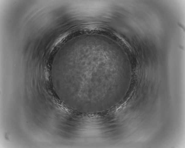 X0000094230823200710261254