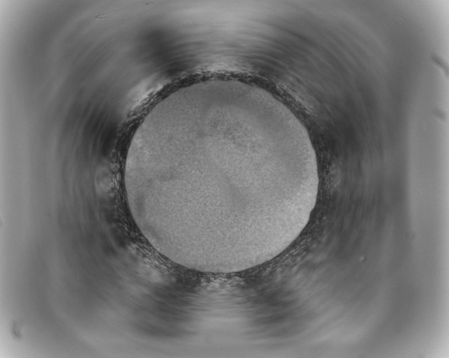 X0000094230824200710261254